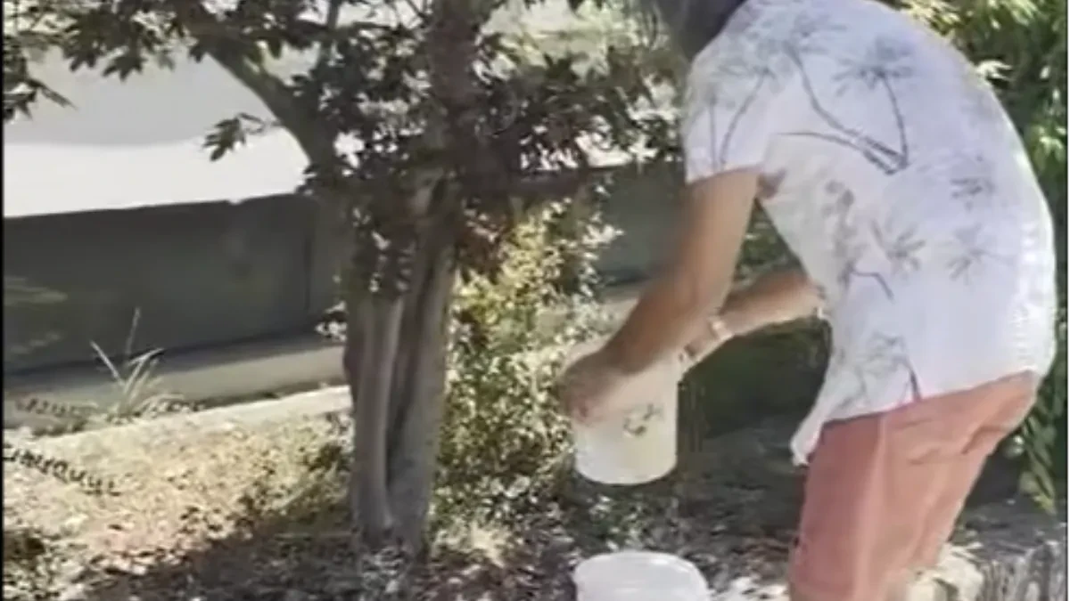 "Četvrti dan bez vode": Banjalučanin mlijekom zalio cvijeće ispred Vodovoda (VIDEO)