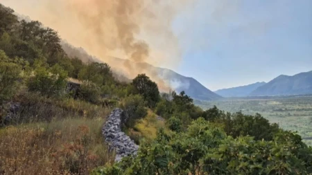 Drama kod Trebinja: Vatrogasci i dobrovoljci u borbi sa požarom