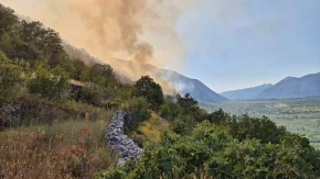 Lokalizovan požar na području Popovog Polja