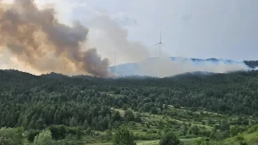 Vatrena stihija u BiH: Gori 20 hektara guste šume