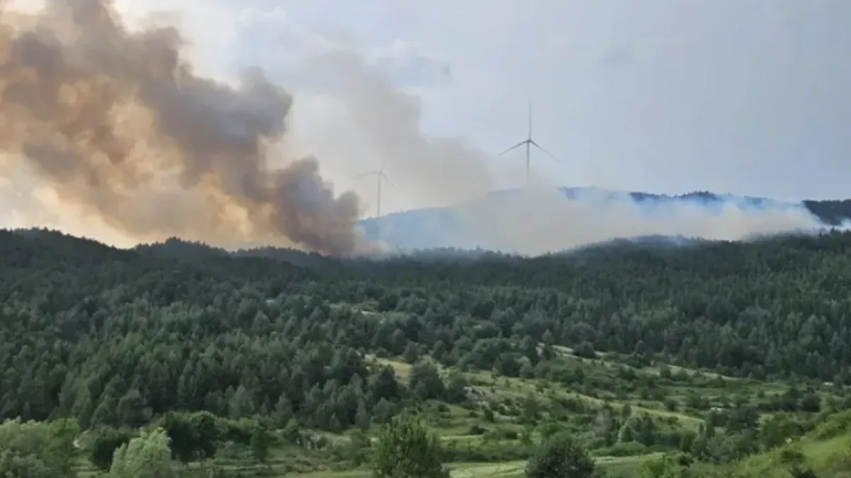 Vatrena stihija u BiH: Gori 20 hektara guste šume