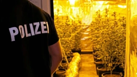 “Baštovan” iz BiH osuđen na dvije godine