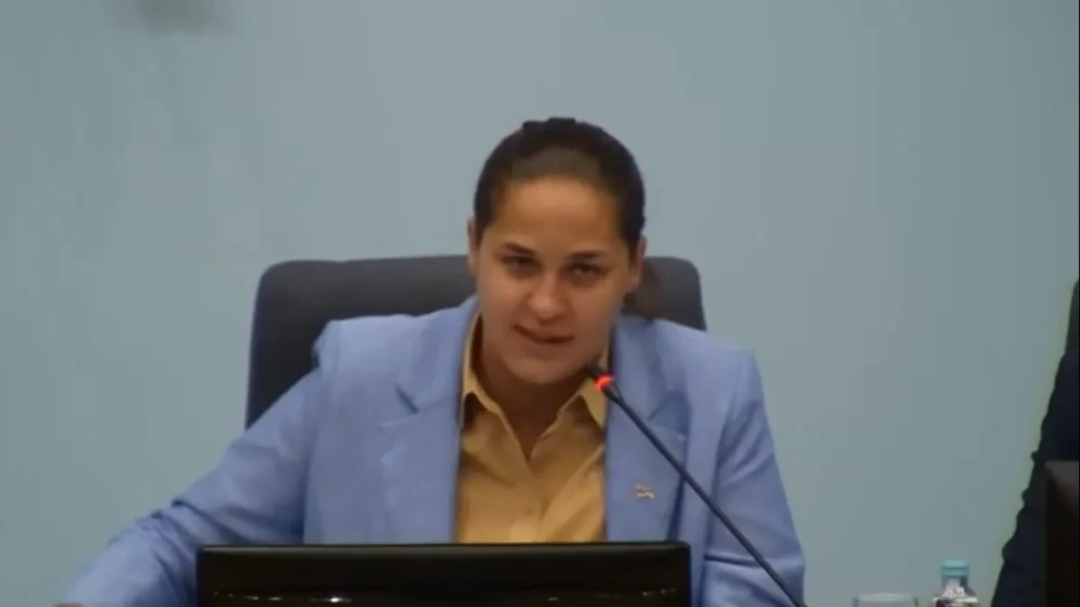 Policija utvrđuje okolnosti nesreće u kojoj je učestvovala Anja Ljubojević
