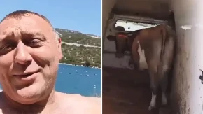 Snimak iz Neuma postao viralan: Poveo kravu na more jer nije imao kome da je ostavi (VIDEO)