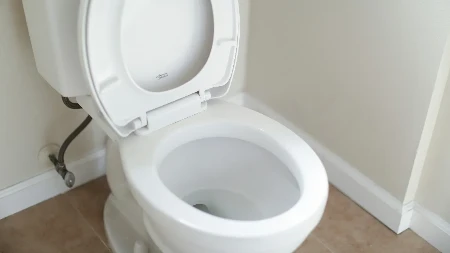 Ovaj sastojak koriste kao rješenje za žute pruge u WC šolji