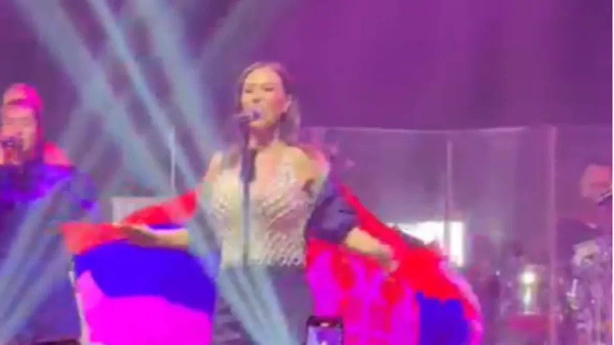 Ceca prekinula koncert, zbog poruke iz publike ostala u šoku