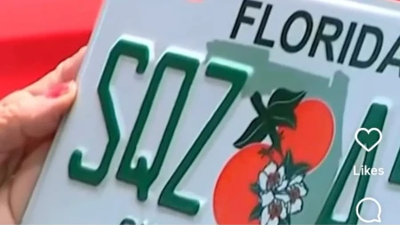 Penzionerka dobila tablice sa vulgarnom porukom, sinovi je mole da ih zadrži (VIDEO)