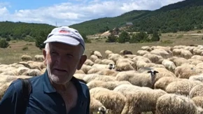 Nudi platu od 2.300 KM, stan i hranu, ali radnika nema: Teška i iskrena priča hercegovačkog stočara Bore