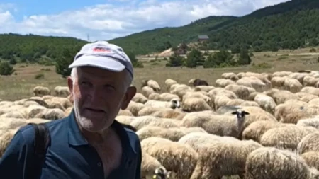 Nudi platu od 2.300 KM, stan i hranu, ali radnika nema: Teška i iskrena priča hercegovačkog stočara Bore