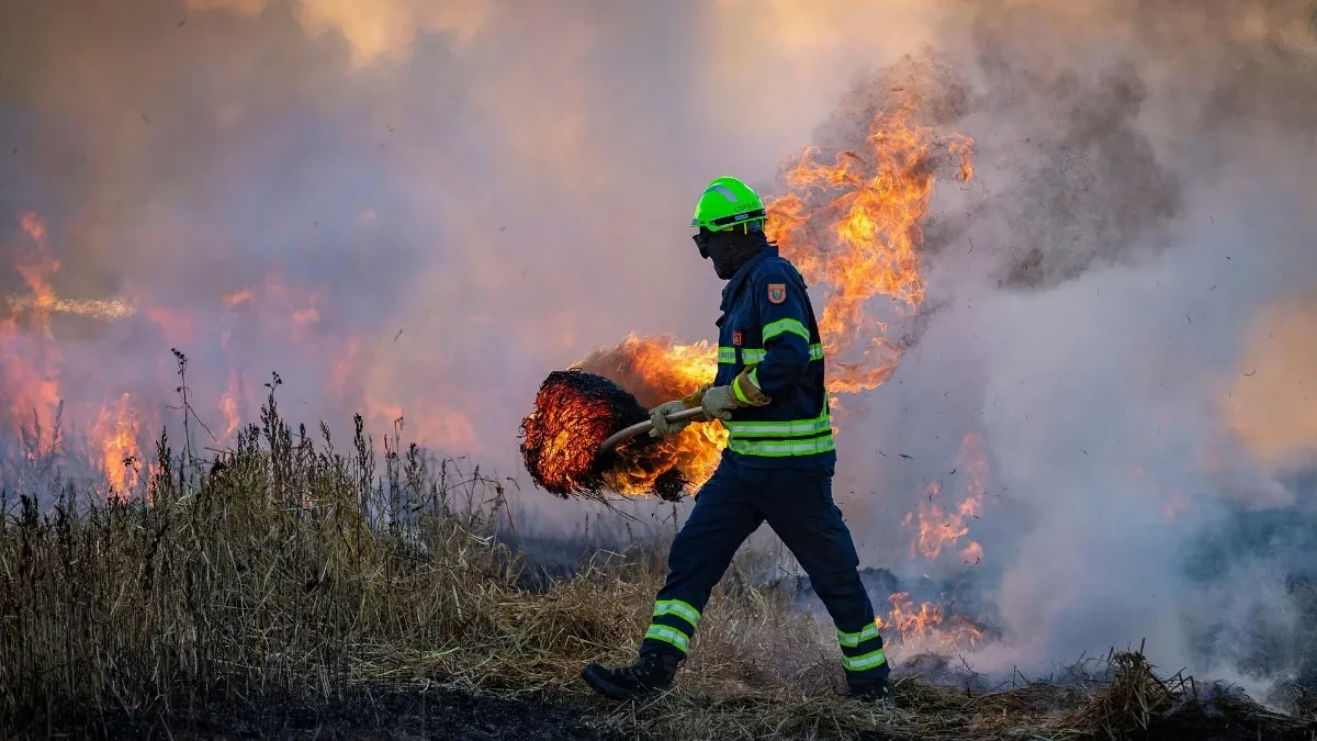 Njemačka vojska se uključila u gašenje velikog šumskog požara