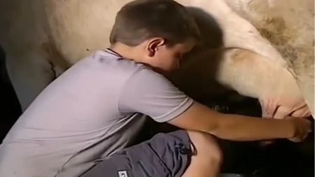 Zbog njega je prije 17 godina plakao Balkan: Mali Milija je sa samo 12 godina vodio domaćinstvo, a evo kako danas izgleda i živi ovaj hrabri momak