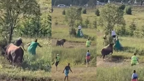 Drama na Igmanu: Bik pobjegao iz ringa i krenuo prema publici na tradicionalnoj koridi (VIDEO)