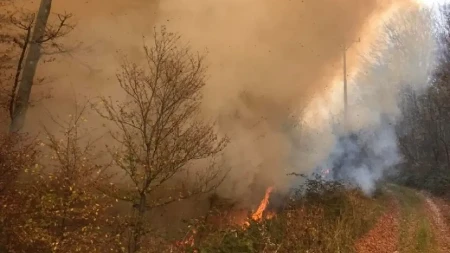 Požari u Hercegovini: Vatra ugrožava kuće