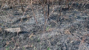 Brza reakcija sprečila tragediju: Ugašen požar u Zasad polju