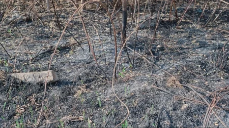 Brza reakcija sprečila tragediju: Ugašen požar u Zasad polju