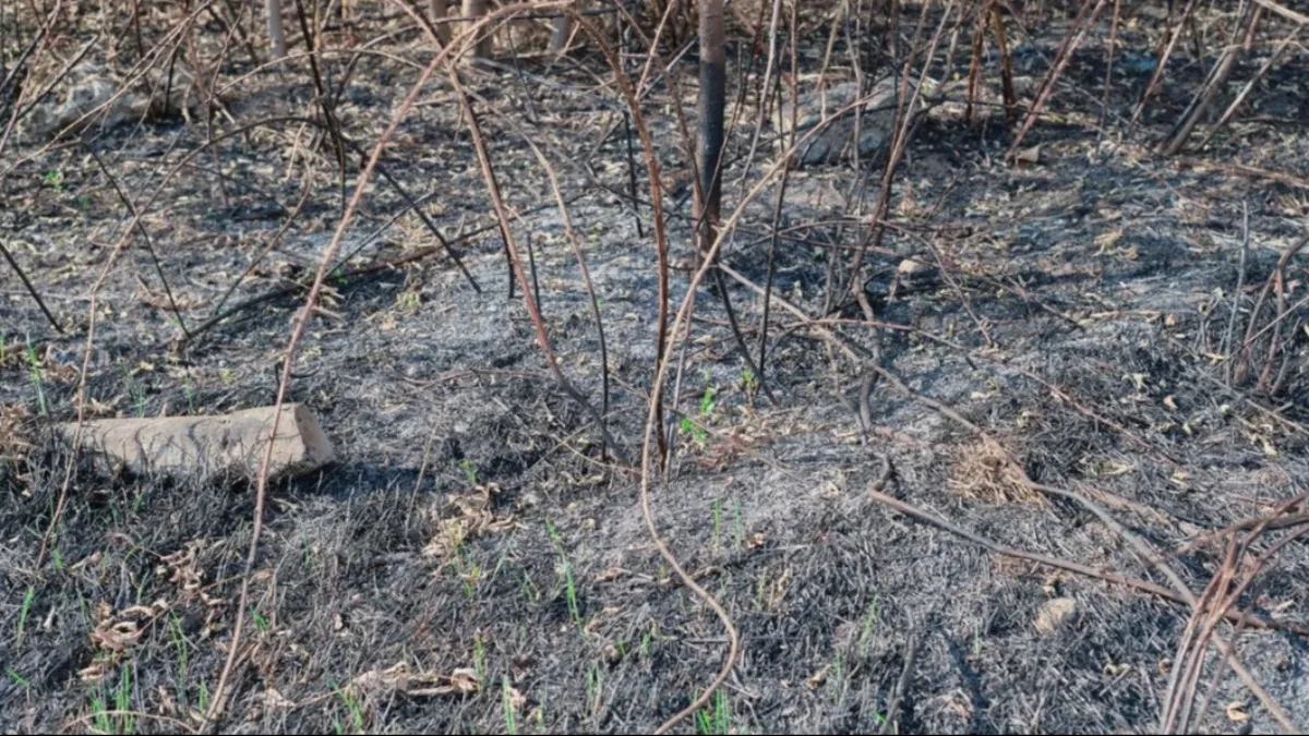 Brza reakcija sprečila tragediju: Ugašen požar u Zasad polju