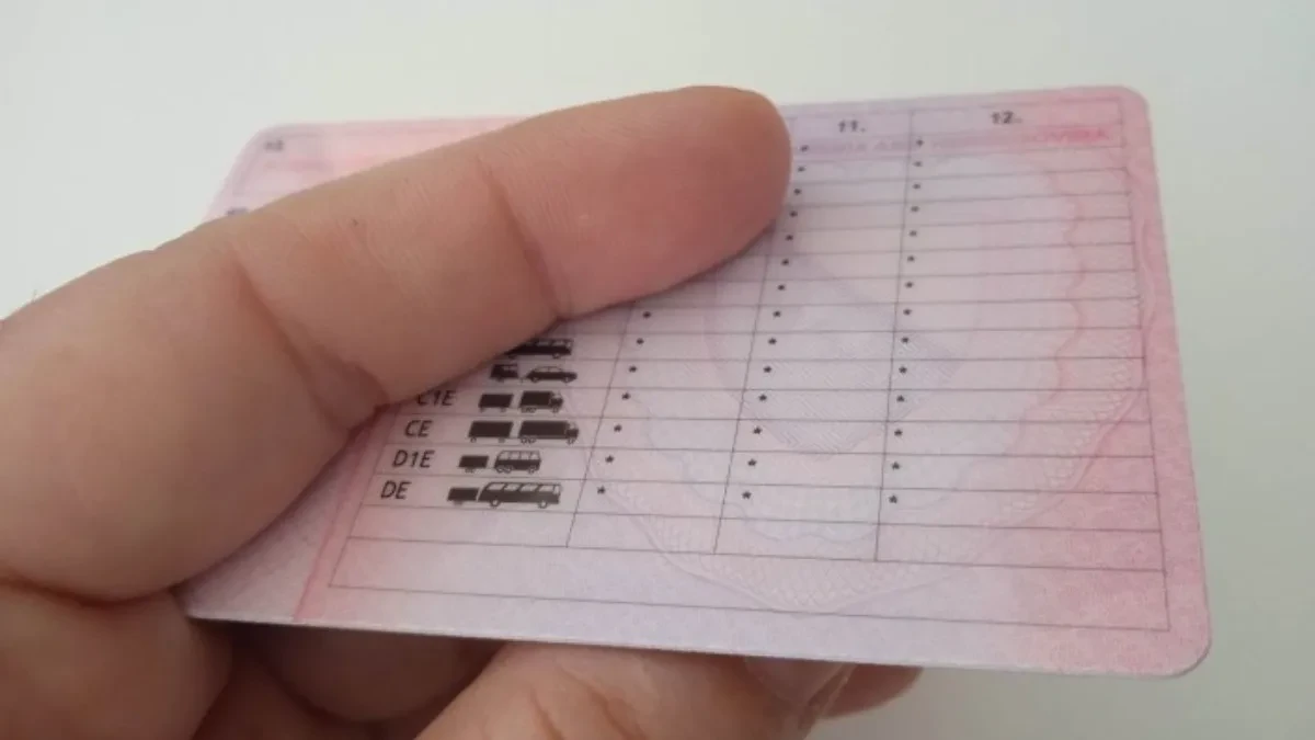 Planirate put u inostranstvo: Detaljan spisak zemalja koje priznaju vozačku dozvolu iz BiH