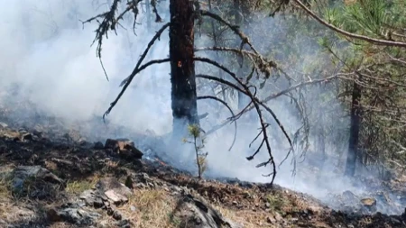 Aktivni požari na dvije lokacije u Širokom Brijegu