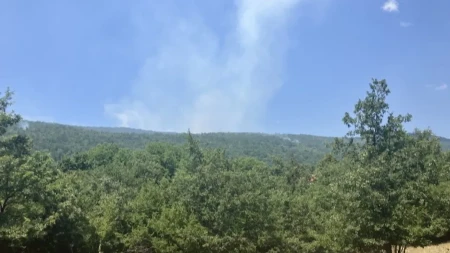 Kiša gasi požar kod Drvara