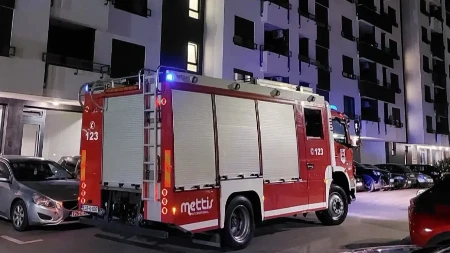 Neočekivan gost u stanu u Banjaluci: Vatrogasci morali da hvataju slijepog miša (FOTO)