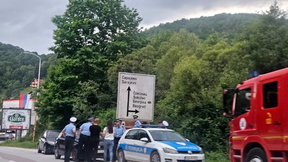 Drama kod Pala: Muškarac se popeo na drvo i odbija da siđe