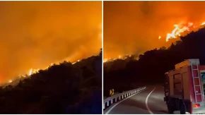 Bukti požar u Hrvatskoj: Vatrogasci sprečavaju širenje vatre