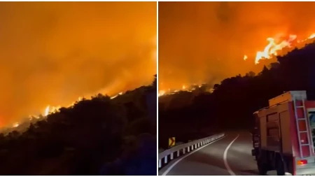 Bukti požar u Hrvatskoj: Vatrogasci sprečavaju širenje vatre