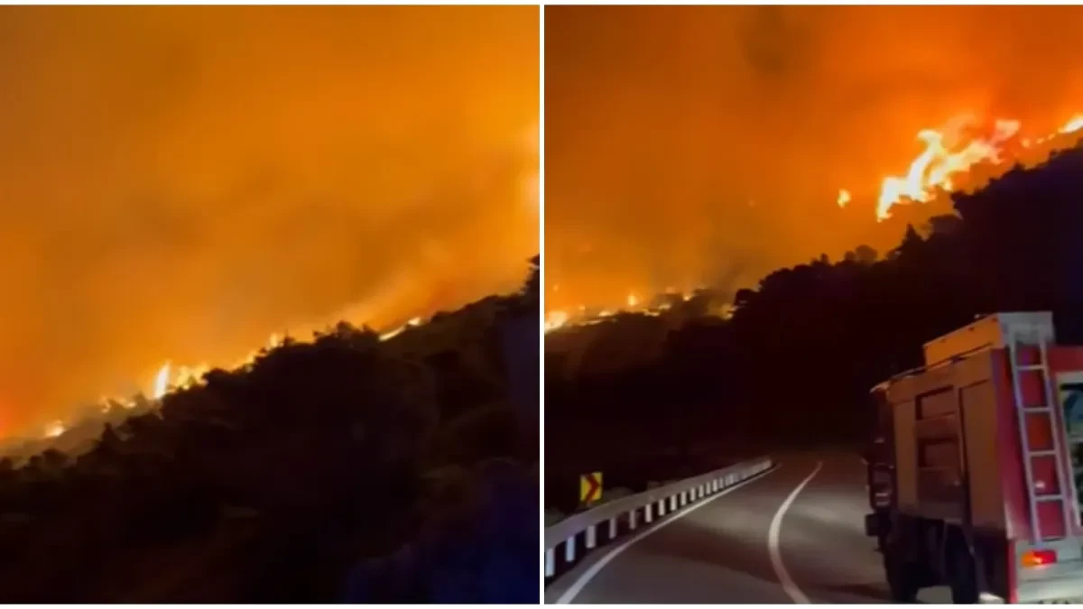 Bukti požar u Hrvatskoj: Vatrogasci sprečavaju širenje vatre