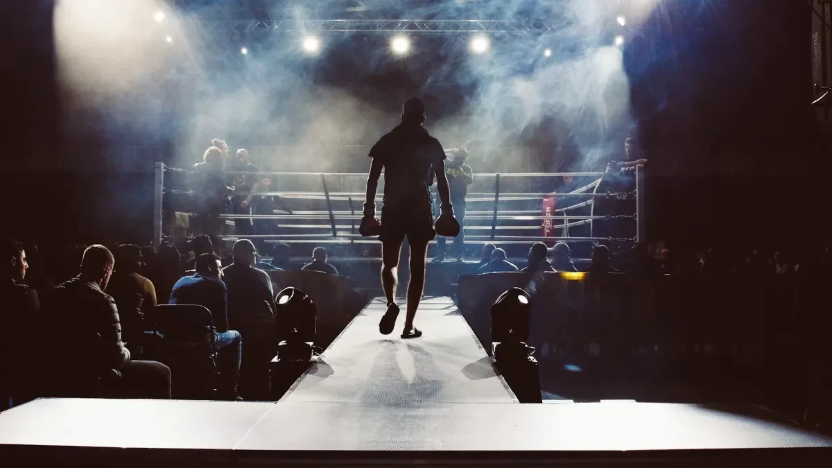 Hoće li biti emitovanja UFC-a iz Beograda u BiH?
