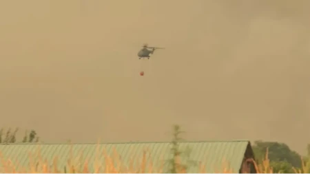 Požar u rezervatu prirode Deliblatska pješčara stavljen pod kontrolu