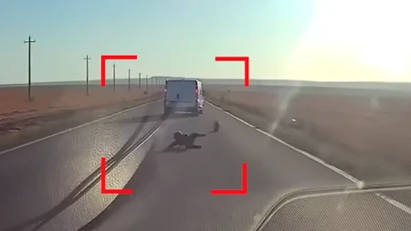 Stravičan snimak iz Rumunije: Dijete ispalo iz kombija na asfalt, pa se teturajući jedva spasilo pod točkovima kamiona!