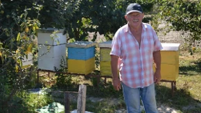 Pčelar Zoran kategoričan: Pčelama treba obezbijediti vodu, hladovinu i ventilaciju