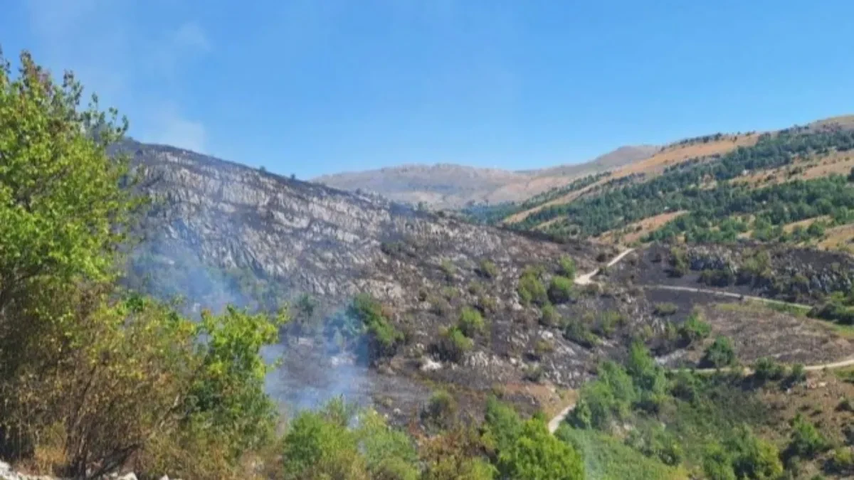 Na području Nevesinja četiri požara, jedan se približava kućama