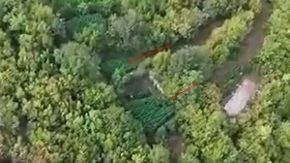Objavljen snimak iz vazduha: Plantaže kanabisa bile skrivene u vrletima kod Mostara