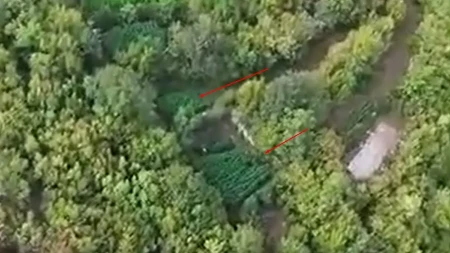 Objavljen snimak iz vazduha: Plantaže kanabisa bile skrivene u vrletima kod Mostara