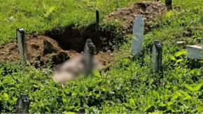 Šok u Travniku: Medvjed raskopao grob