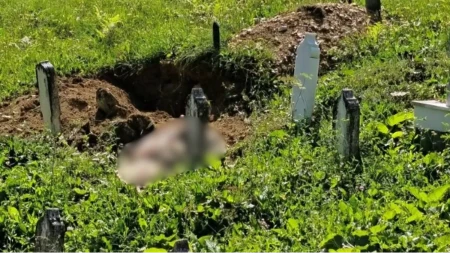 Šok u Travniku: Medvjed raskopao grob