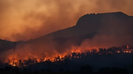 U Grčkoj crveno upozorenje zbog opasnosti od širenja šumskih požara