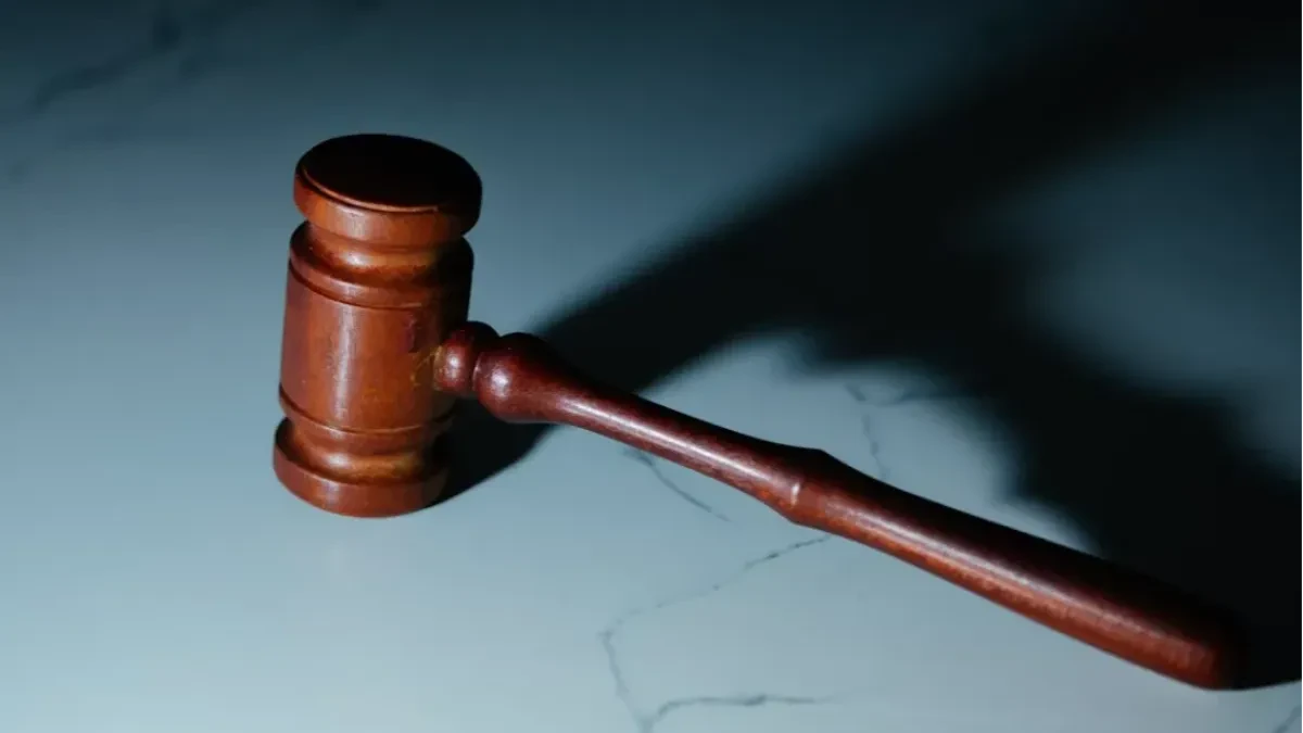 Stravično nasilje u porodici: Udarao majku i oca motkom pred maloljetnim bratom