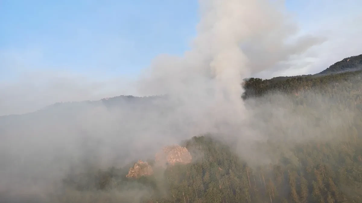   Vatrogasci i helikopter OS BiH nastavljaju borbu s požarom kod Bosanskog Grahova