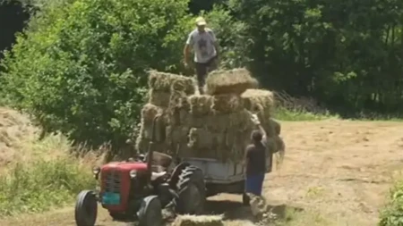 Srpski domaćin pokazao kako se radi na +40: "Za njih nema ni vrućina ni hladno" (VIDEO)