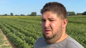Ima 1.500 kilograma mahuna, ali nema kupaca: Odlučio ih dijeliti besplatno