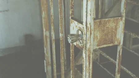 Јednomjesečni pritvor osumnjičenima za izazivanje požara na području Zadra