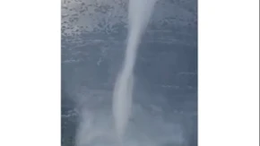 Na Korčuli snimljena pijavica (VIDEO)