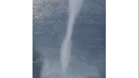Na Korčuli snimljena pijavica (VIDEO)