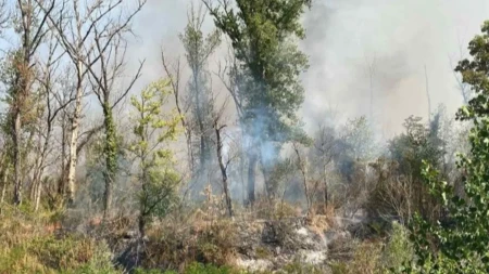 Aktivan požar u Semberiji: Vatra i prema Pavlovića putu