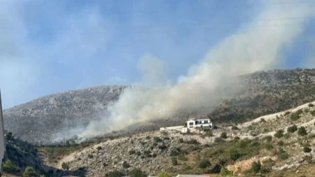 Požar u naselju Ivanica između Trebinja i Dubrovnika i dalje aktivan (VIDEO)