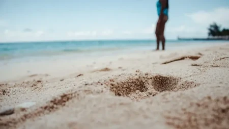 Na plaži u Hrvatskoj pronađena ešerihija koli, ne preporučuje se kupanje