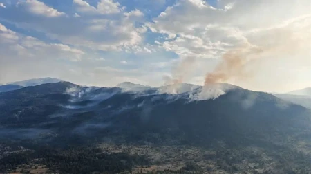 Vatra ponovo buknula kod Bihaća: Jak vjetar aktivirao požar
