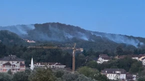 Požar u Novom Gradu: Gori šuma iznad naselja Prekosanje